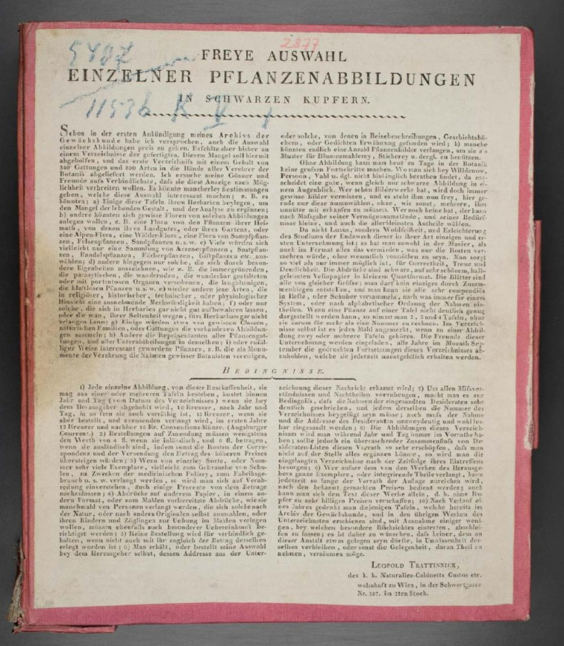 Freye Auswahl einzelner Pflanzenabbildungen in schwarzen Kupfern.