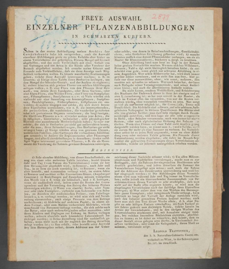 Freye Auswahl einzelner Pflanzenabbildungen in schwarzen Kupfern.