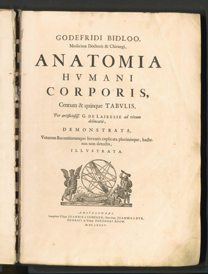 GODEFRIDI BIDLOO, Medicinae Doctoris & Chirurgi, ANATOMIA HVMANI CORPORIS