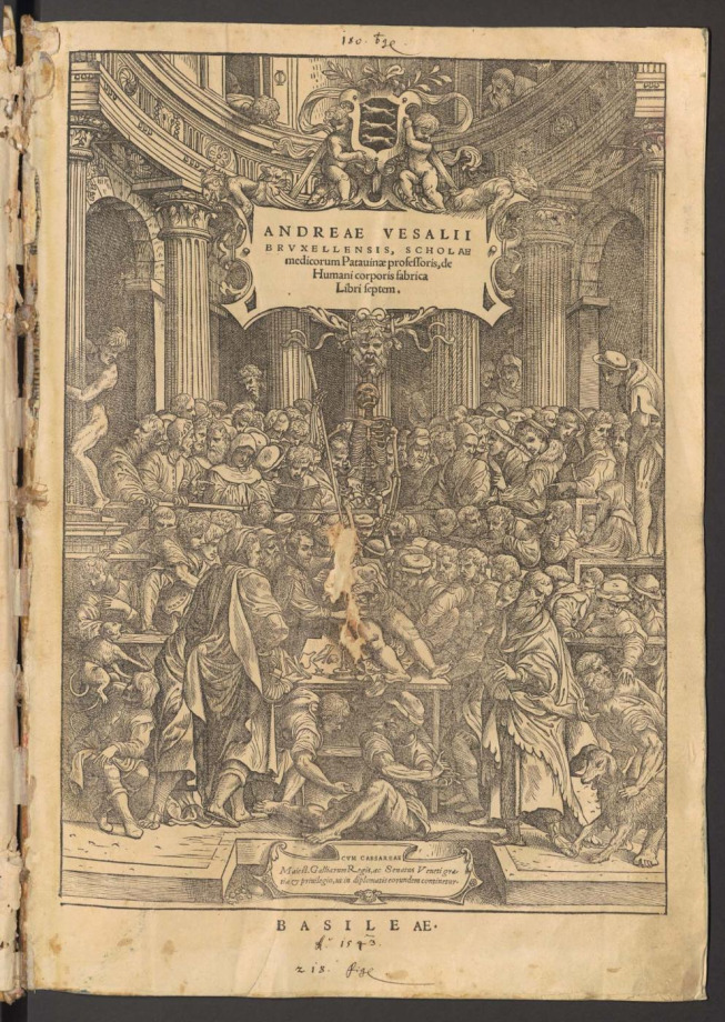 ANDREAE VESALII BRVXELLENSIS, SCHOLAE medicorum Patauinae professoris, de Humani corporis fabrica libri septem