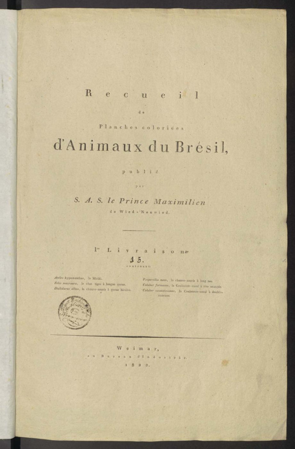 Recueil de planches coloriées d'animaux du Brésil 