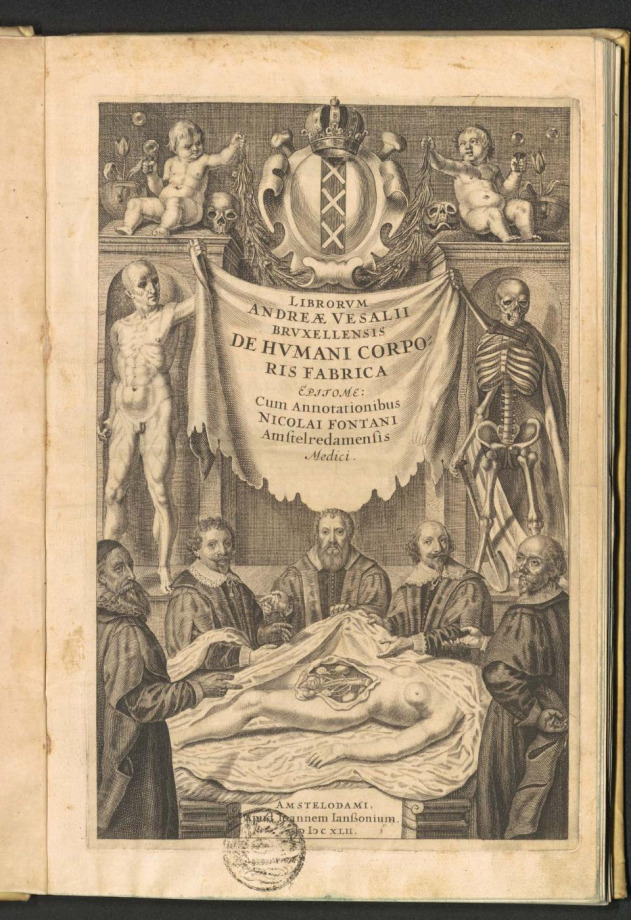 LIBRORVM ANDREAE VESALII BRVXELLENSIS DE HVMANI CORPORIS FABRICA EPITOME 