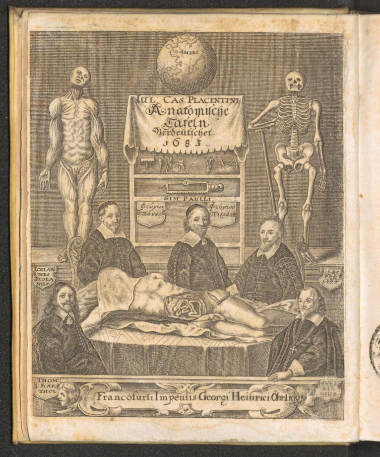 JULII CASSERII, PLACENTINI, UND DANIELIS BUCRETII Anatomische Tafeln