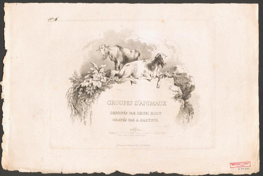 GROUPES D'ANIMAUX 