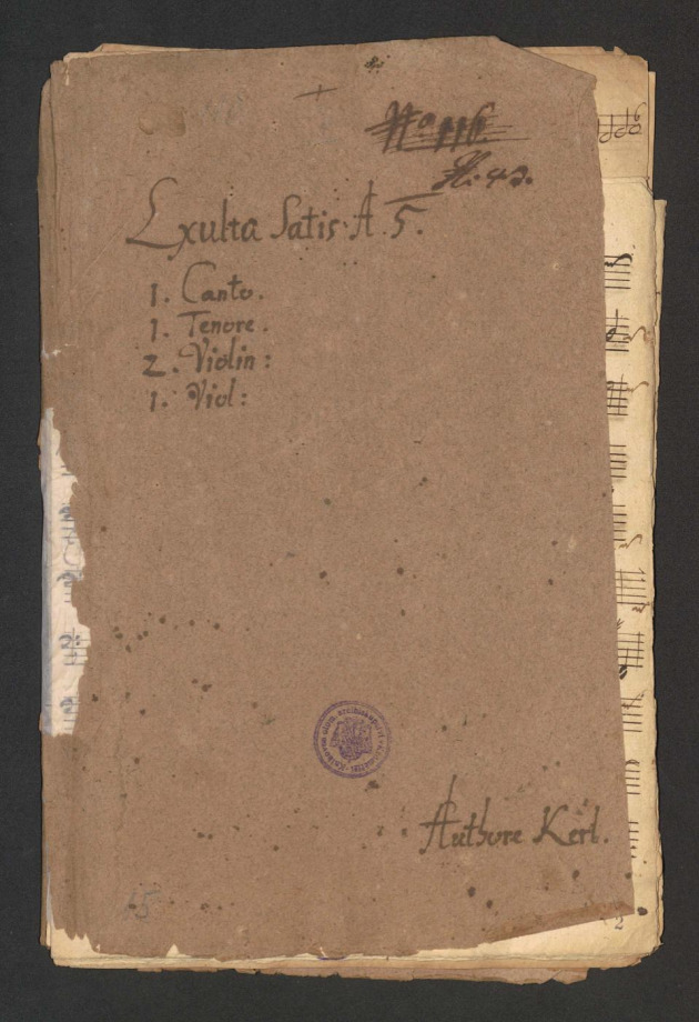 Exulta Satis