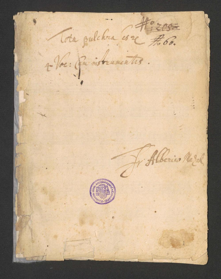 Tota pulchra es