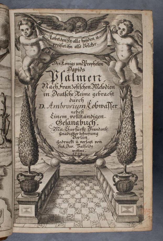 Des Königs und Propheten Davids Psalmen