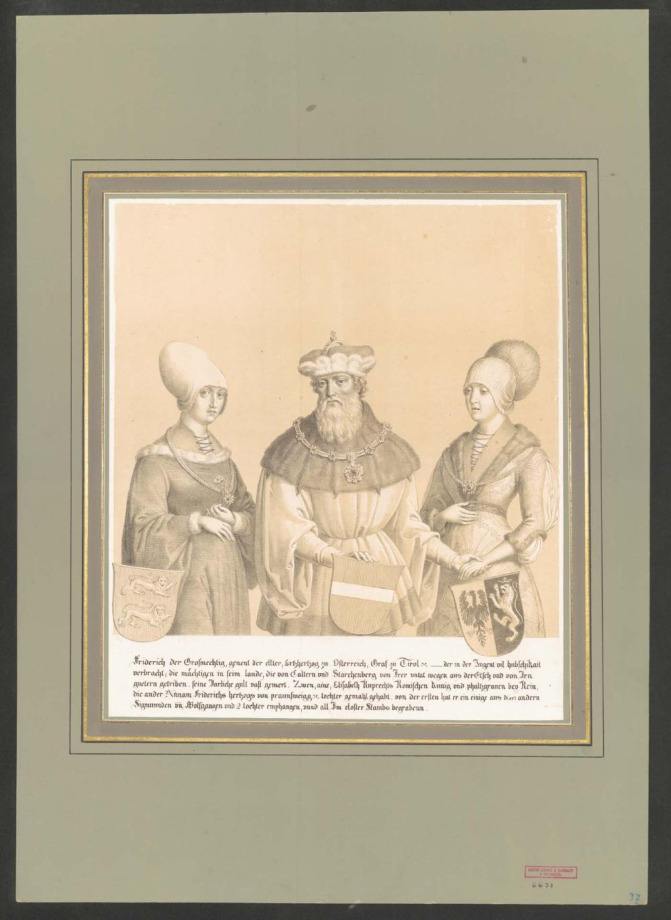 [DER STAMMBAUM des Allerdurchlauchtigsten Hauses Habsburg-Oesterreich]