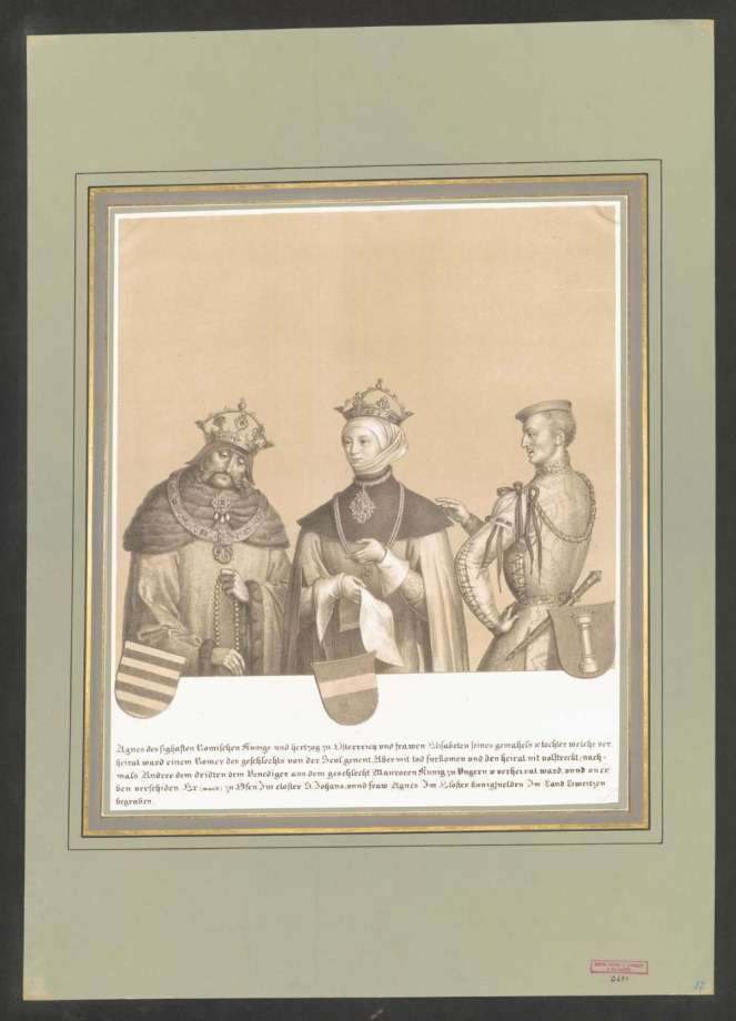 [DER STAMMBAUM des Allerdurchlauchtigsten Hauses Habsburg-Oesterreich]