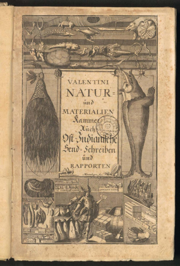 MUSEUM MUSEORUM