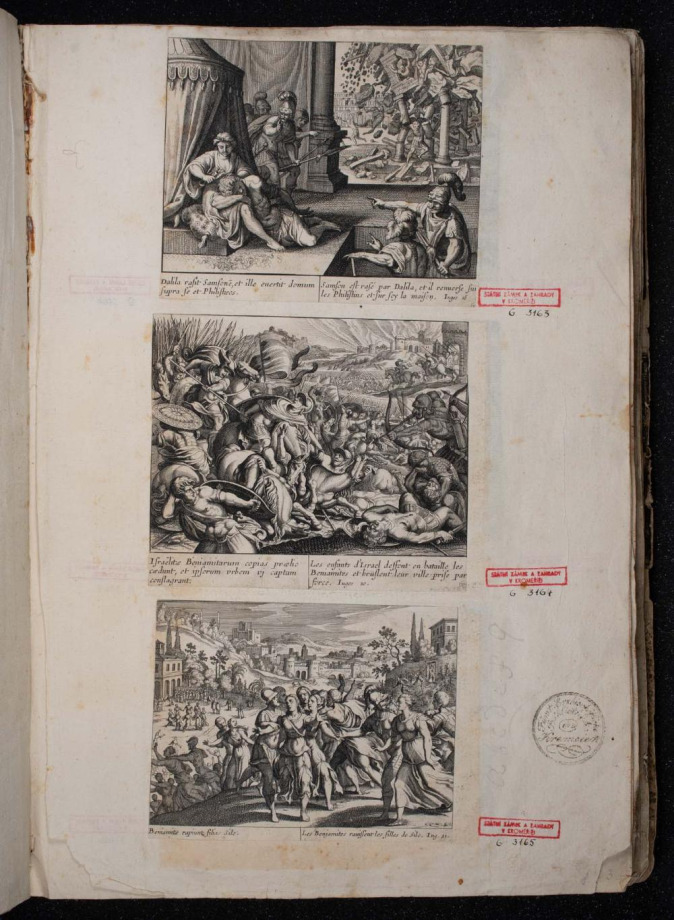 [Trinitáři III.]