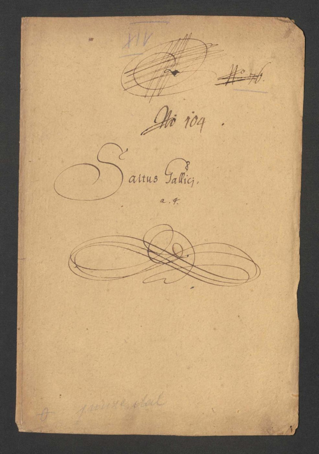 Saltus Gallicii