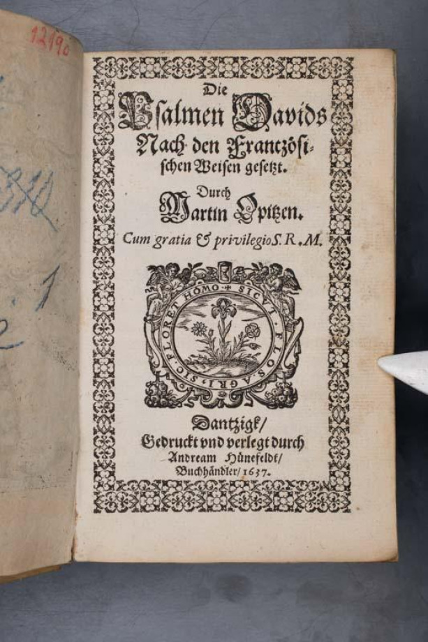 Die Psalmen Davids 