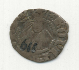 bolognino