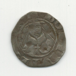 bolognino