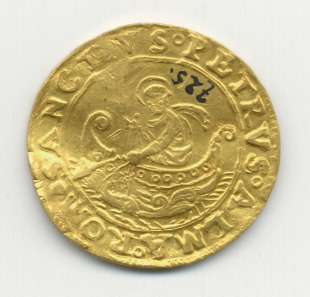 fiorino di camera