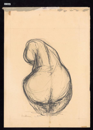 Torzo - studie