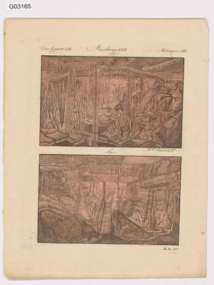 Vědecká ilustrace -Miscellanea LXII.