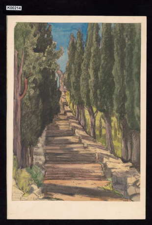 Cypřišové stromořadí na Korčule
