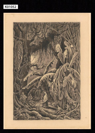 Ilustrace ke knize Č. Paclta "Přítel domorodců"
