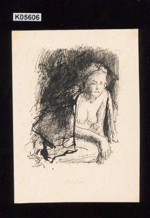Ilustrace k S. K. Neumannovi - Salome