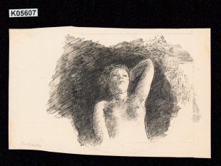 Ilustrace k S. K. Neumannovi - předsádka