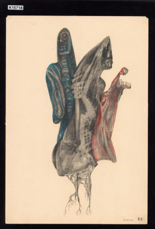 Anatomie