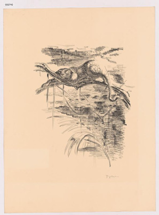 Leopard, Irák, 2. list