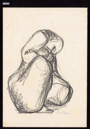 Torzo - studie