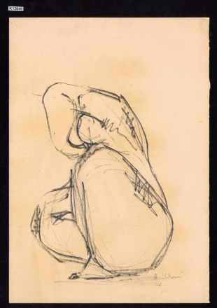 Torzo - studie