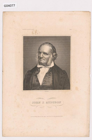 Podobizna Johna J. Audubona