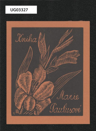 Kniha Marie Paulusové