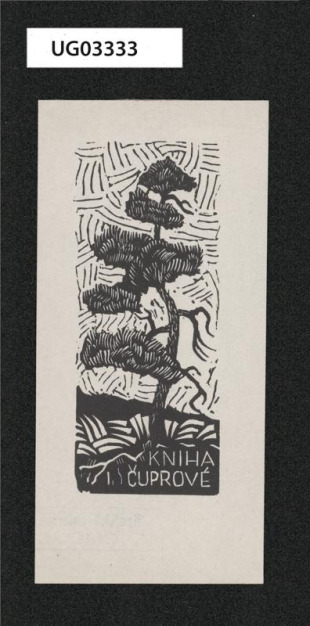 Kniha J. Čuprové
