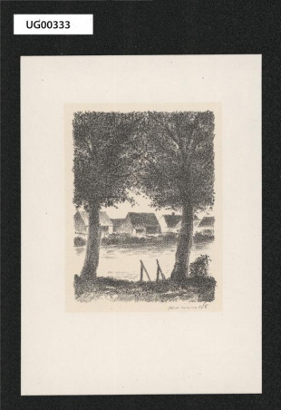 Rybník ve vesnici
