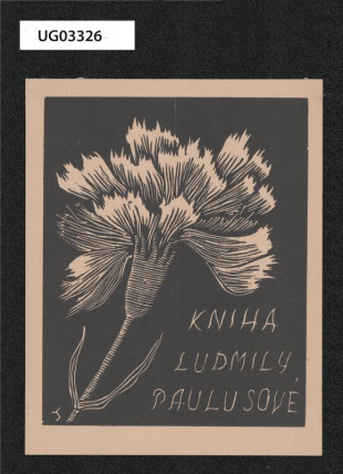 Kniha Ludmily Paulusové