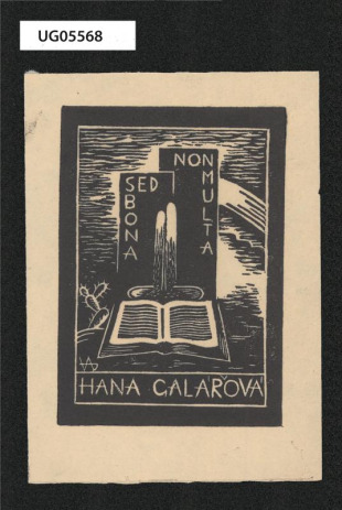 Hana Galářova
