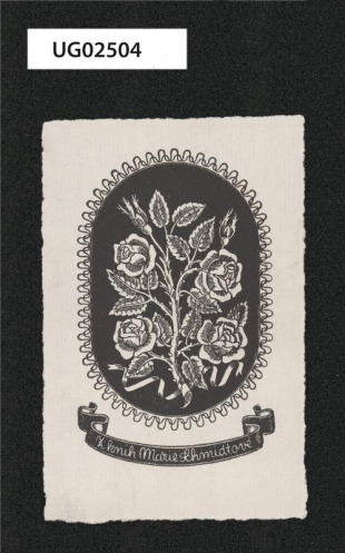 Z knih Marie Schmidtové