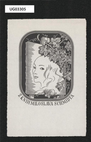 Z knih Miloslava Schmidta