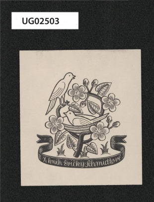 Z knih Evičky Schmidtové