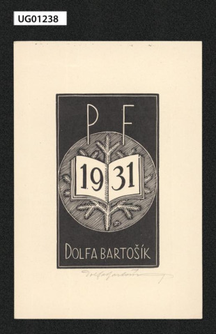 Novoročenka 1931