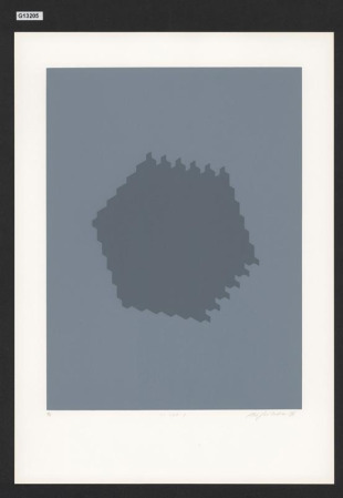 Struktura 193, Studie konečné plošné struktury 1979-1985 (soubor 30 grafických listů)
