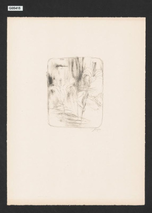 Marianna Alcoforado: Portugalské listy, ilustrace