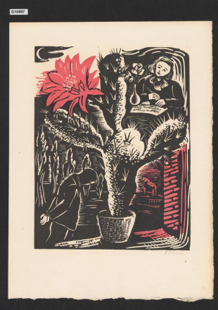 Červený květ, ilustrace ke Slezským písním P. Bezruče