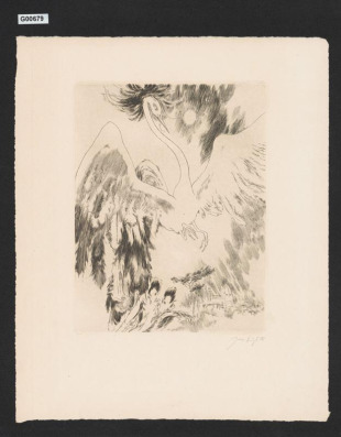 (Fénix)