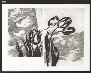 Tulipány II