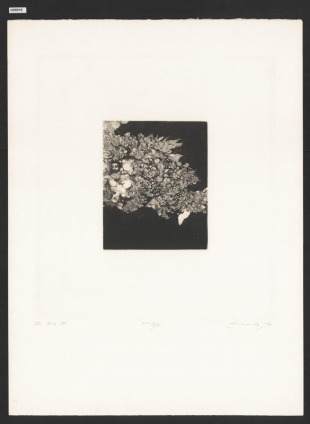 Bella Italia XVIII
