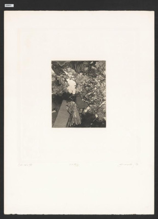 Bella Italia XVII