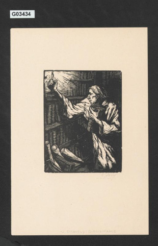(Bibliománie)