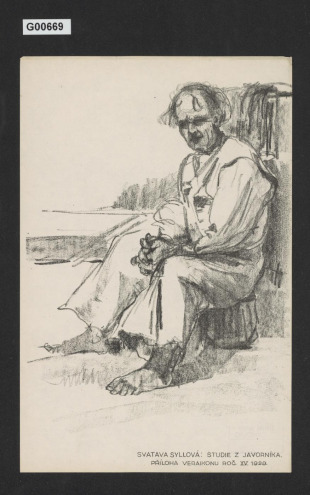 Studie z Javorníka (Příloha Veraikonu)