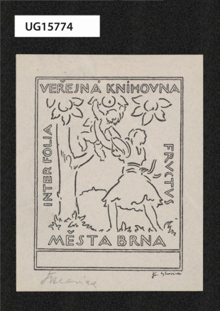 Veřejná knihovna města Brna